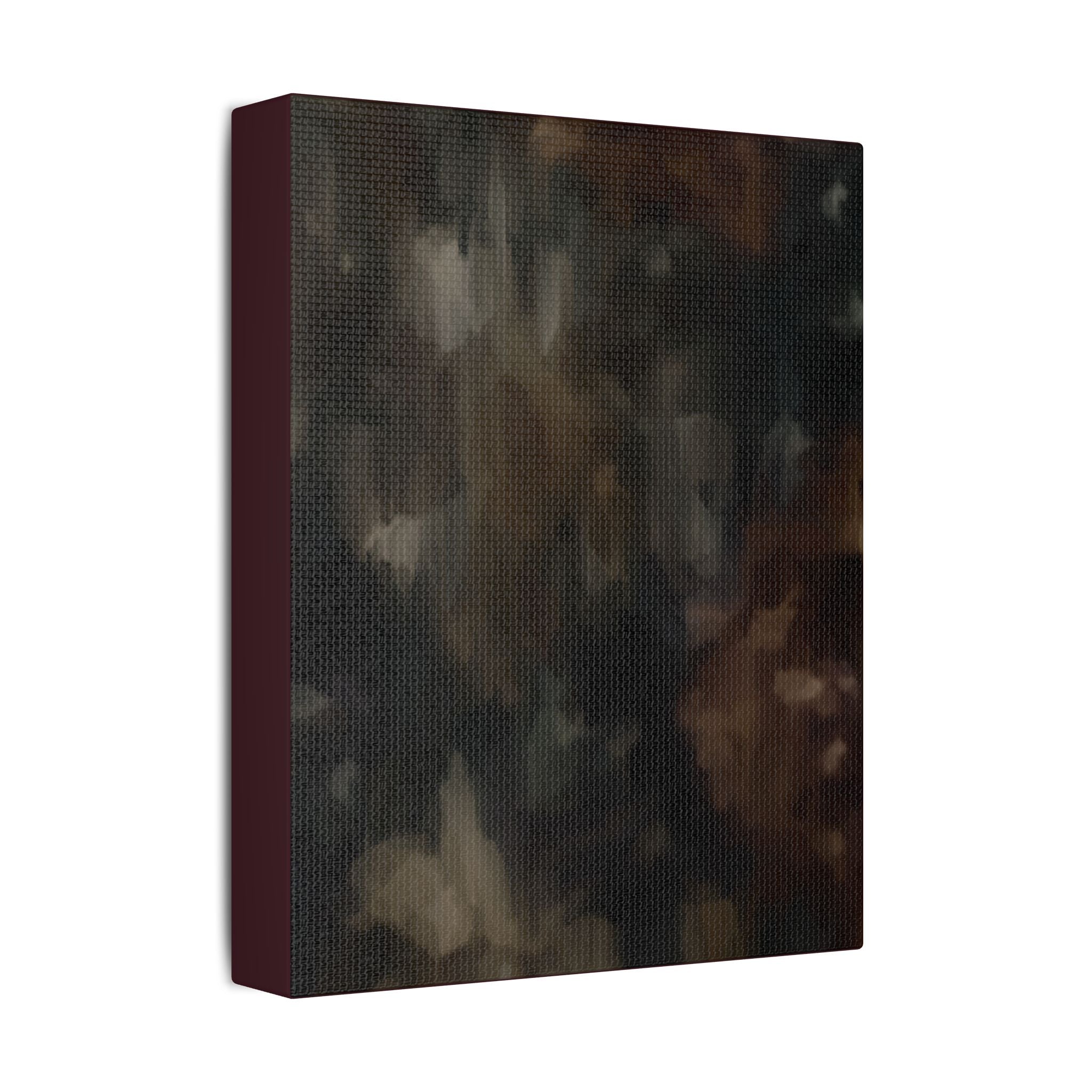 CINDER | 8X10 Satin Stretched Wall Art